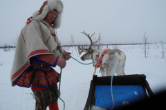 Fins en Zweeds Lapland (28)