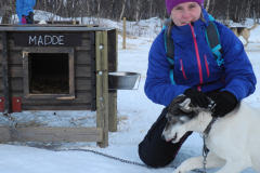Fins en Zweeds Lapland (37)