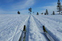 Fins en Zweeds Lapland (5)